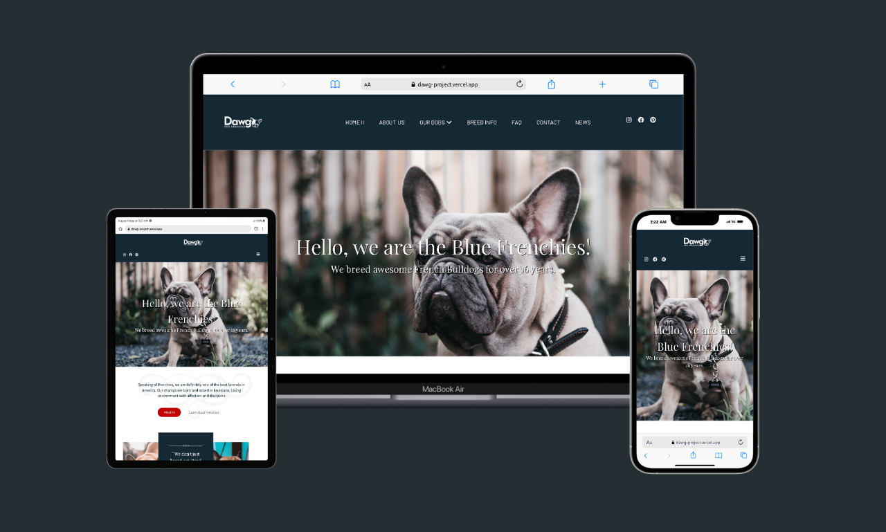 Premium French Bulldog Breeder | Louisiana Bulldogs for Loving Homes